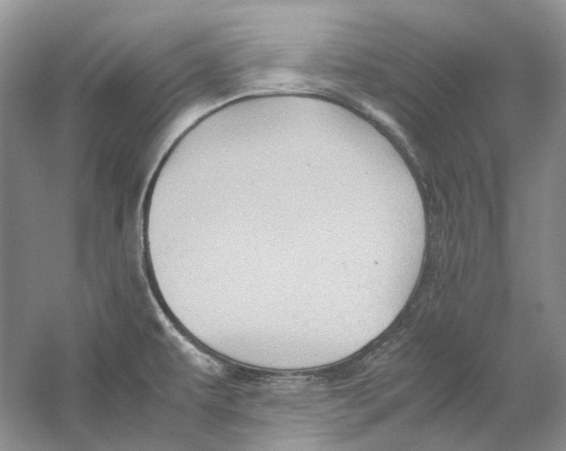 X0000059251479200511111628