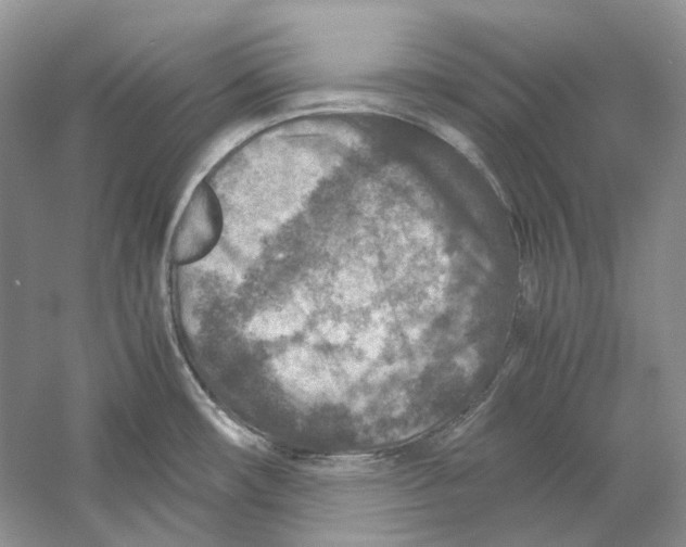 X0000059251482200511111628