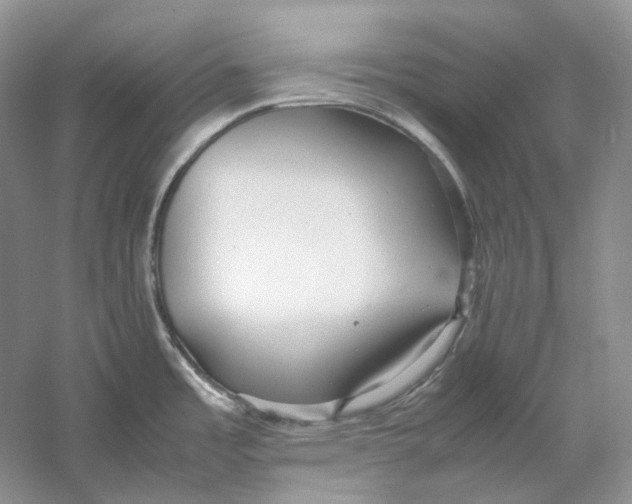 X0000059251485200511111628