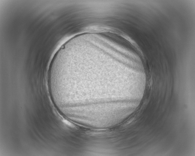 X0000059251486200511111628