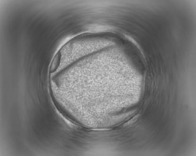 X0000059251487200511111628