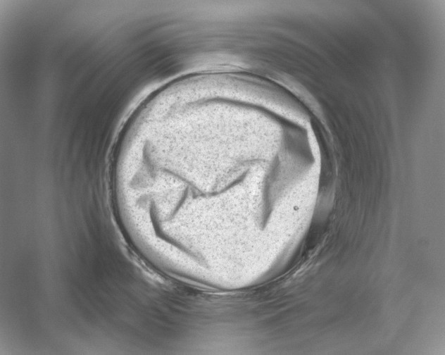 X0000059251488200511111628