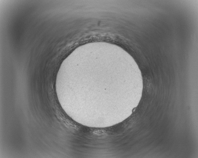 X0000059251489200511111627