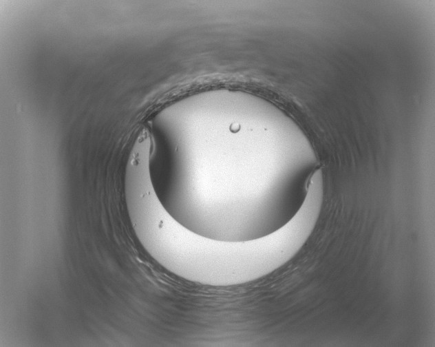 X0000059251492200511111627