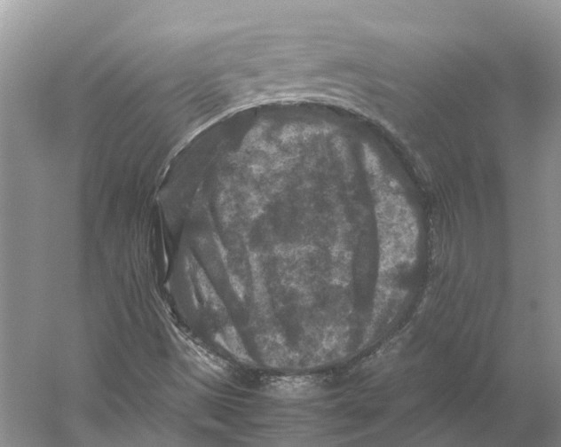 X0000059251497200511111627