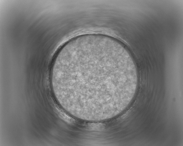 X0000059251498200511111627