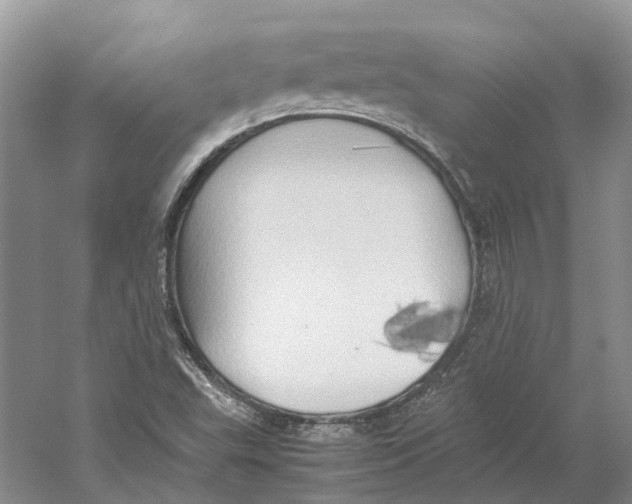 X0000059251503200511111627