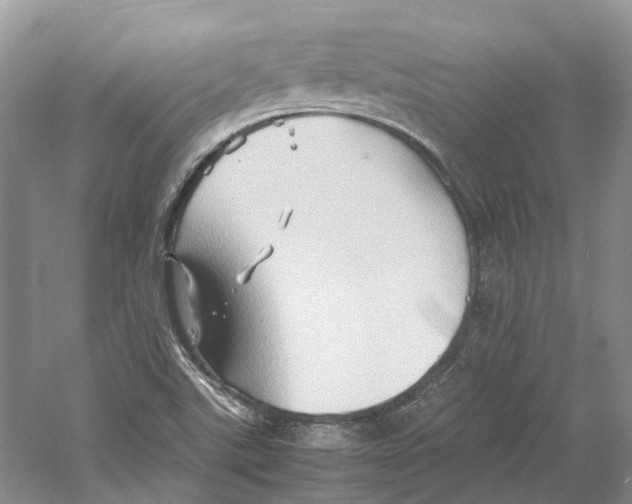 X0000059251507200511111627