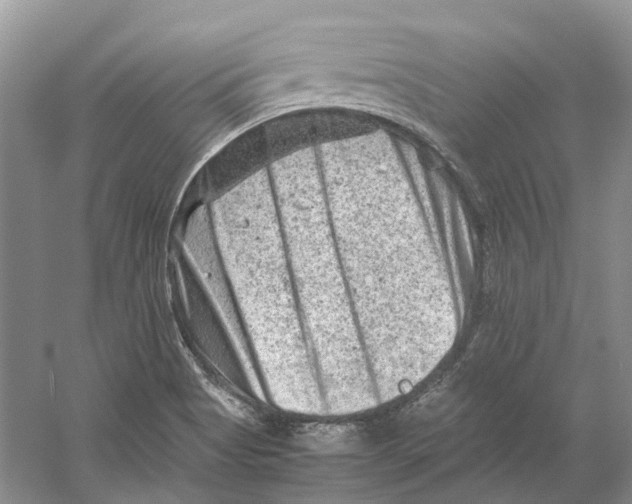 X0000059251513200511111627