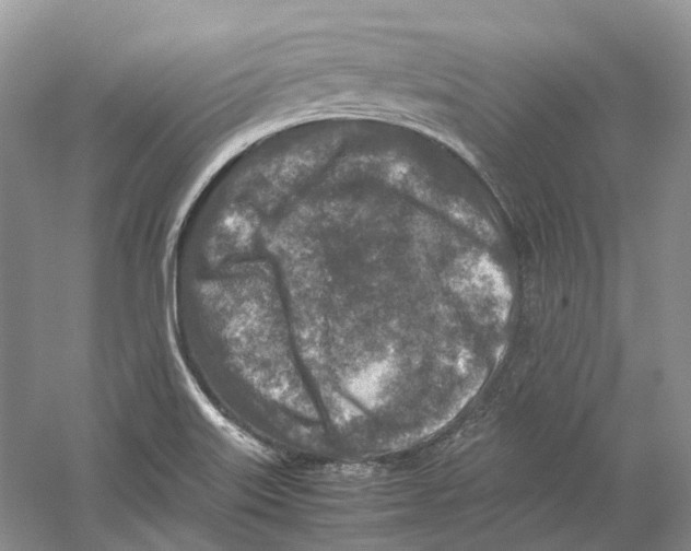 X0000059251515200511111628