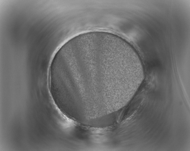 X0000059251520200511111628