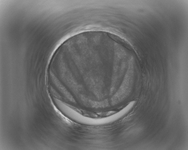 X0000059251527200511111628