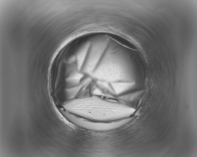 X0000059251528200511111628