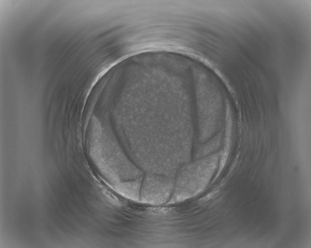 X0000059251529200511111628