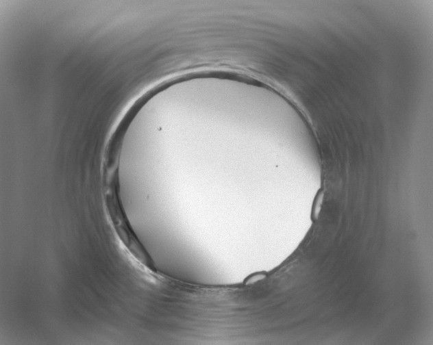 X0000059251532200511111628