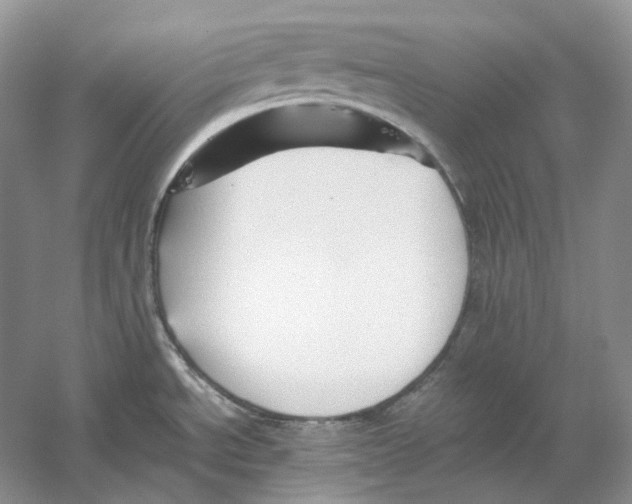 X0000059251534200511111628