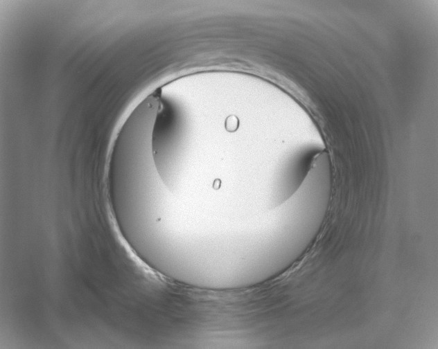 X0000059251536200511111628