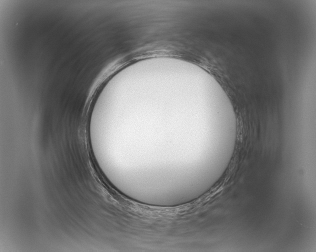X0000059780004200510210907