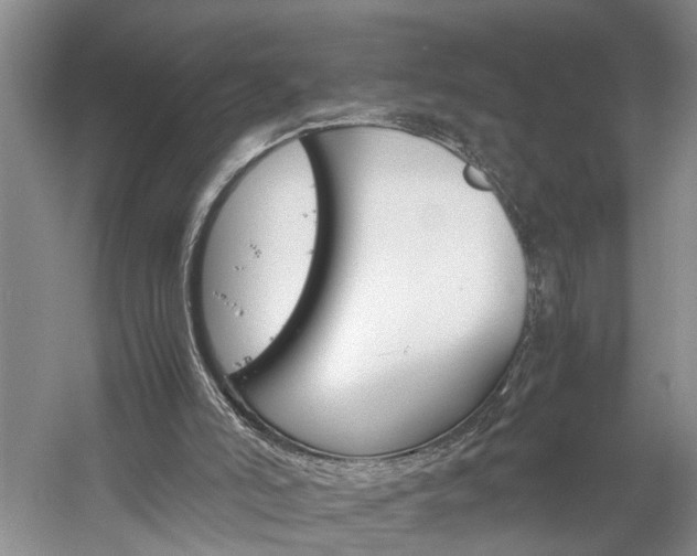 X0000059780006200510210907