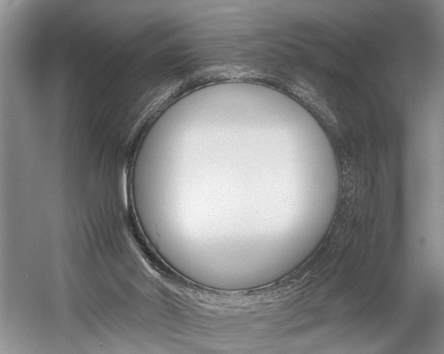 X0000059780014200510210907