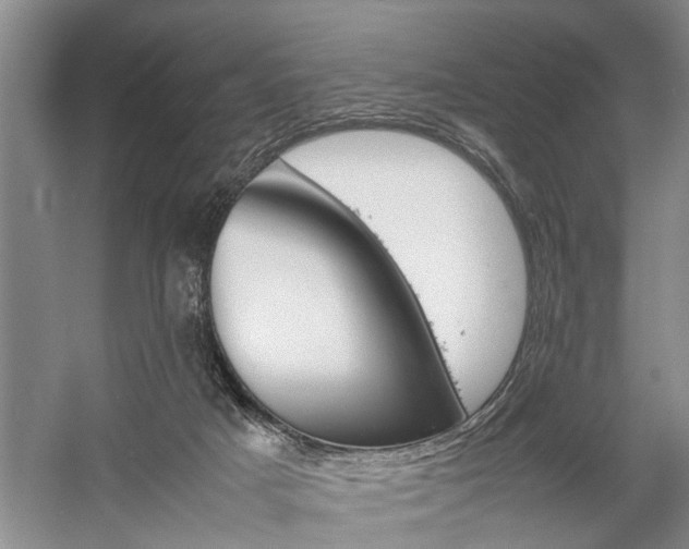 X0000059780025200510210907