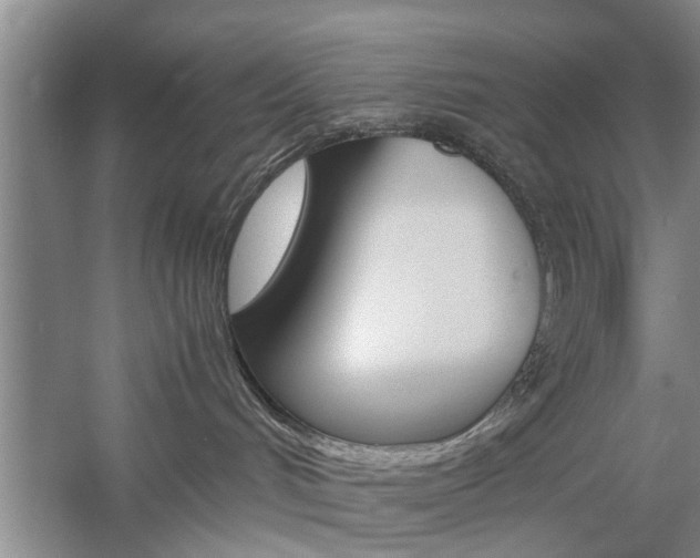 X0000059780048200510210906
