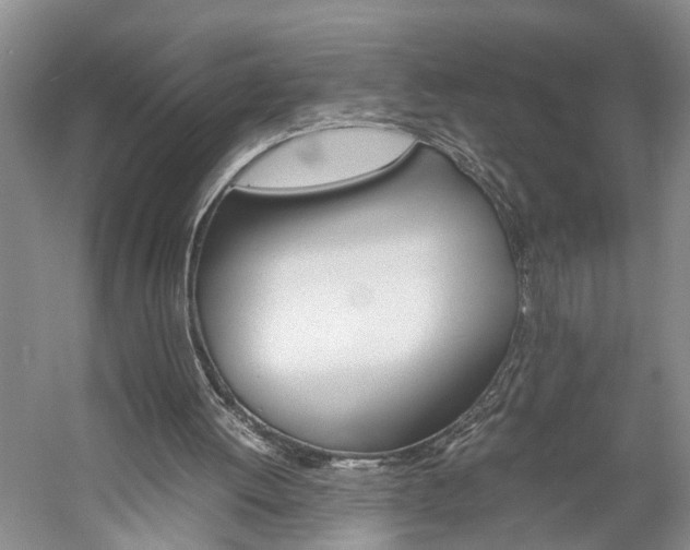 X0000059780052200510210906
