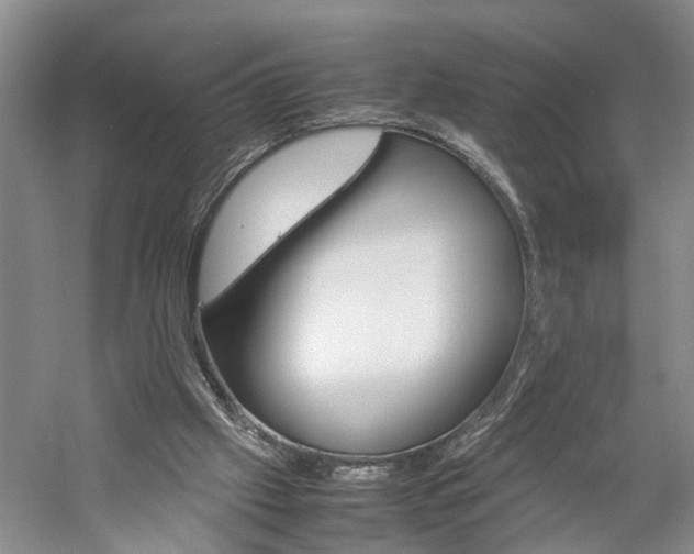 X0000059780057200510210906