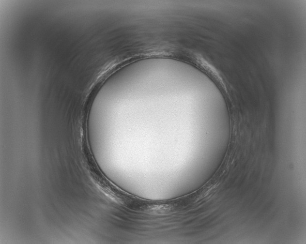 X0000059780059200510210906