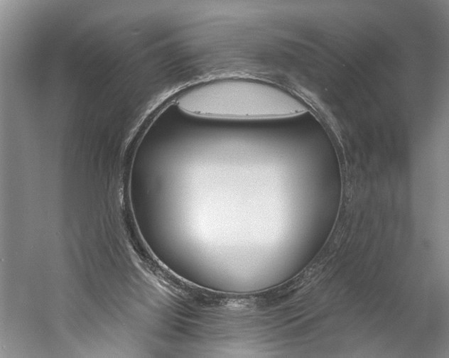 X0000059780060200510210906
