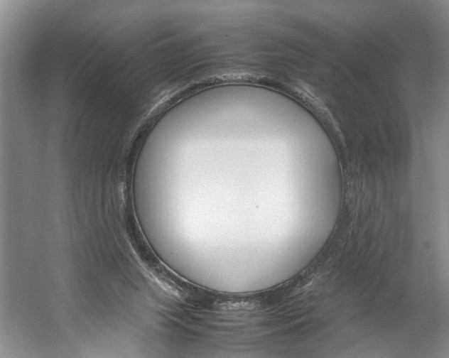 X0000059780063200510210906