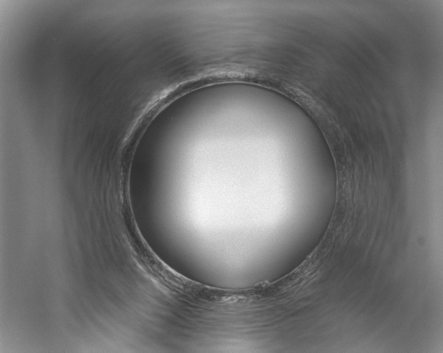 X0000059780064200510210906