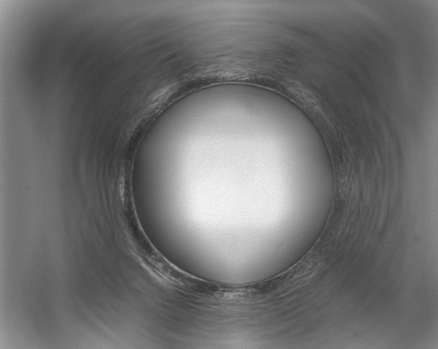 X0000059780072200510210906