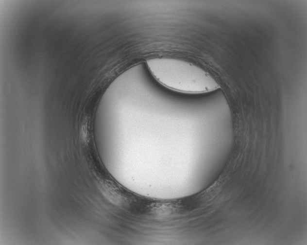 X0000059780074200510210906