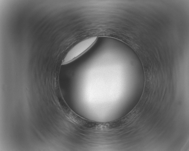 X0000059780080200510210906