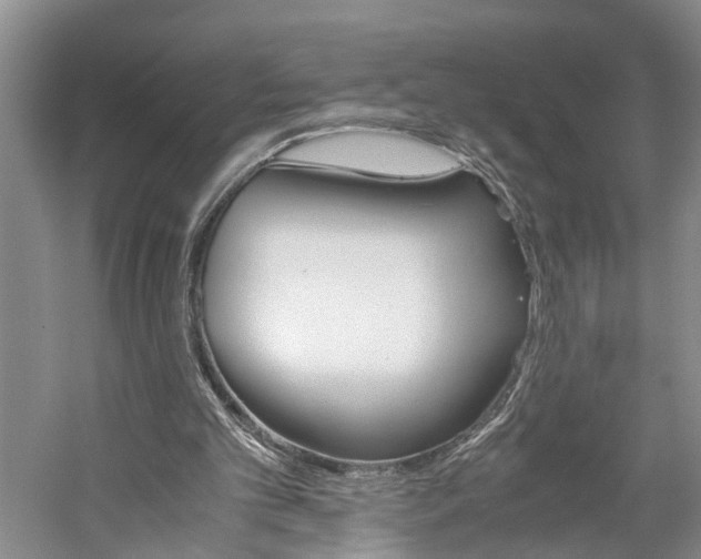 X0000059780101200510210905