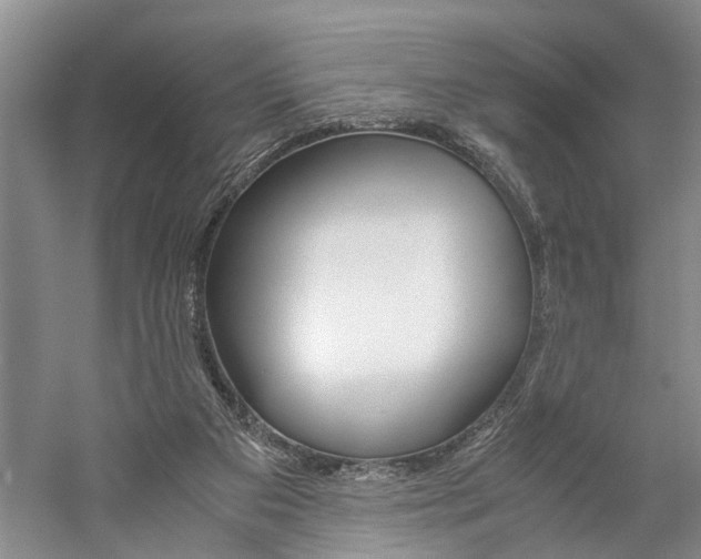 X0000059780113200510210905