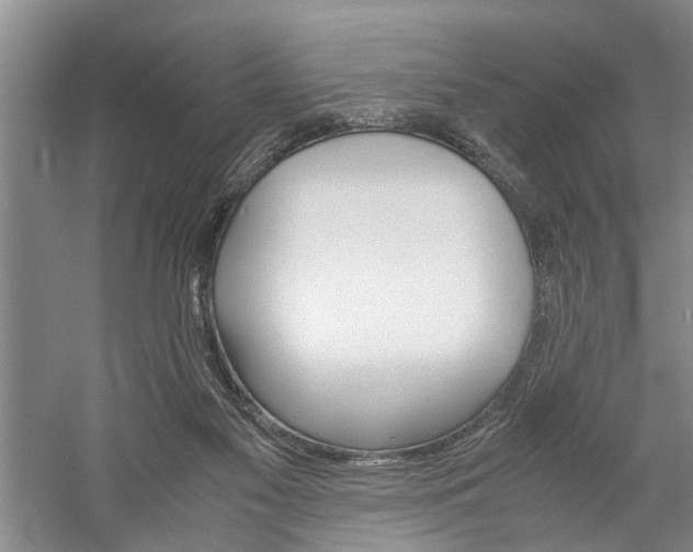 X0000059780117200510210905
