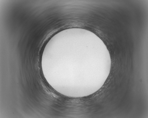 X0000059780146200510210904