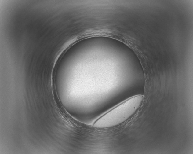X0000059780148200510210904