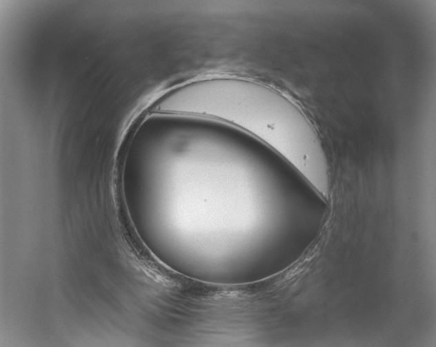 X0000059780152200510210904