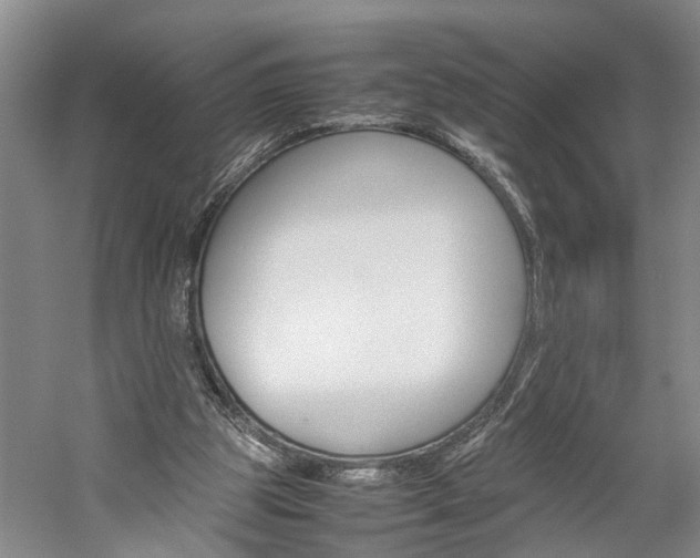 X0000059780153200510210904