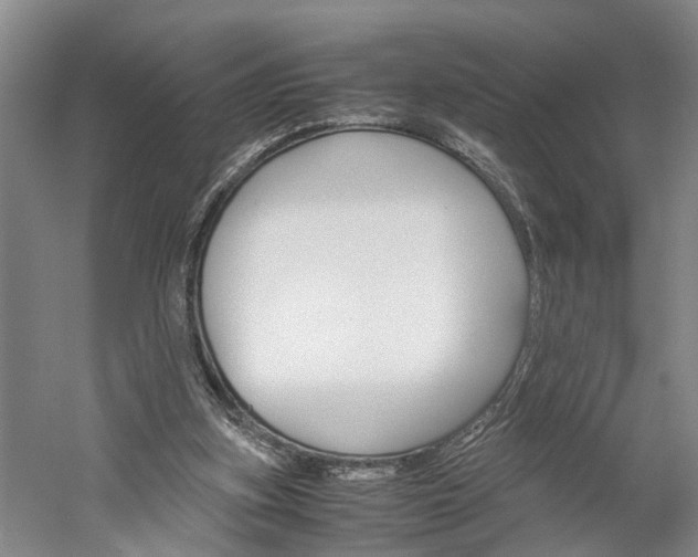 X0000059780155200510210904