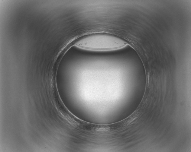 X0000059780156200510210904