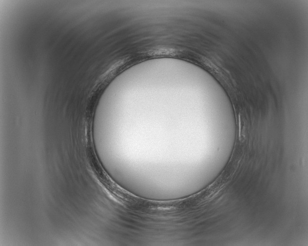 X0000059780157200510210904