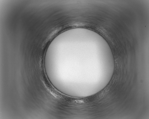 X0000059780159200510210904