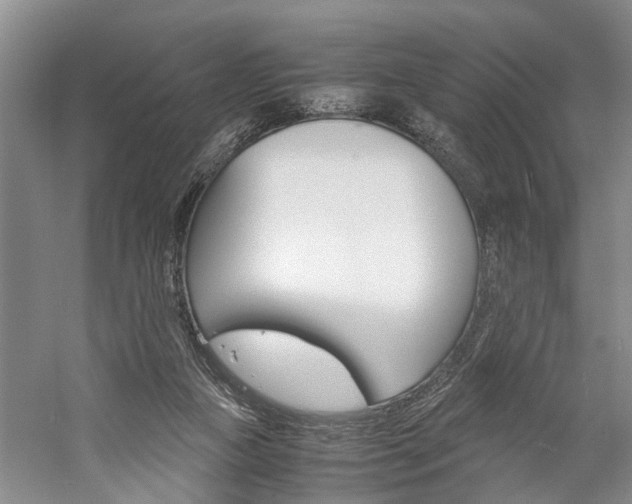 X0000059780161200510210904