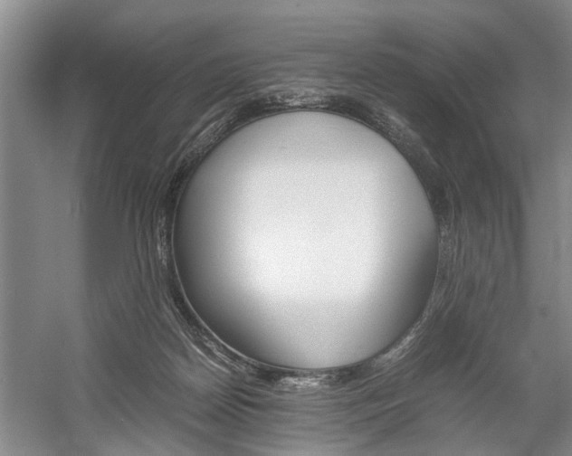 X0000059780170200510210904