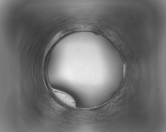 X0000059780195200510210904