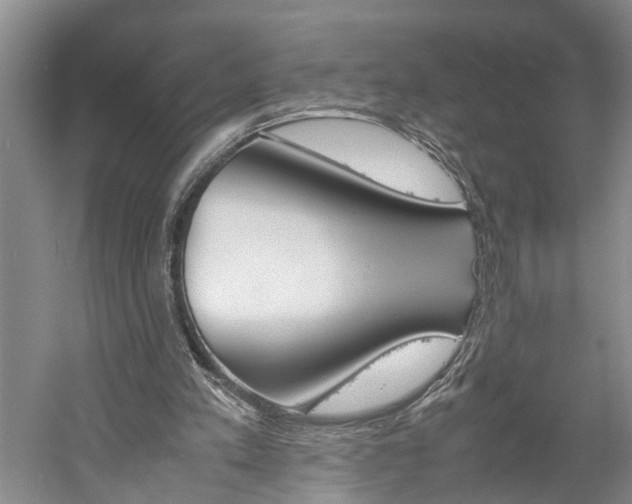 X0000059780197200510210904